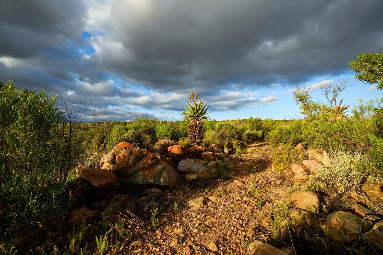 Le Petit Karoo Ranch Bed & Breakfast Оудсхорн Екстериор снимка