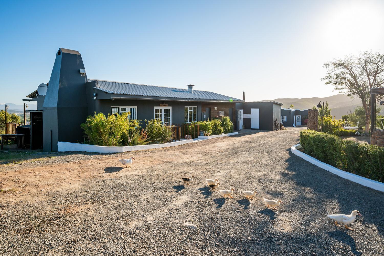 Le Petit Karoo Ranch Bed & Breakfast Оудсхорн Екстериор снимка