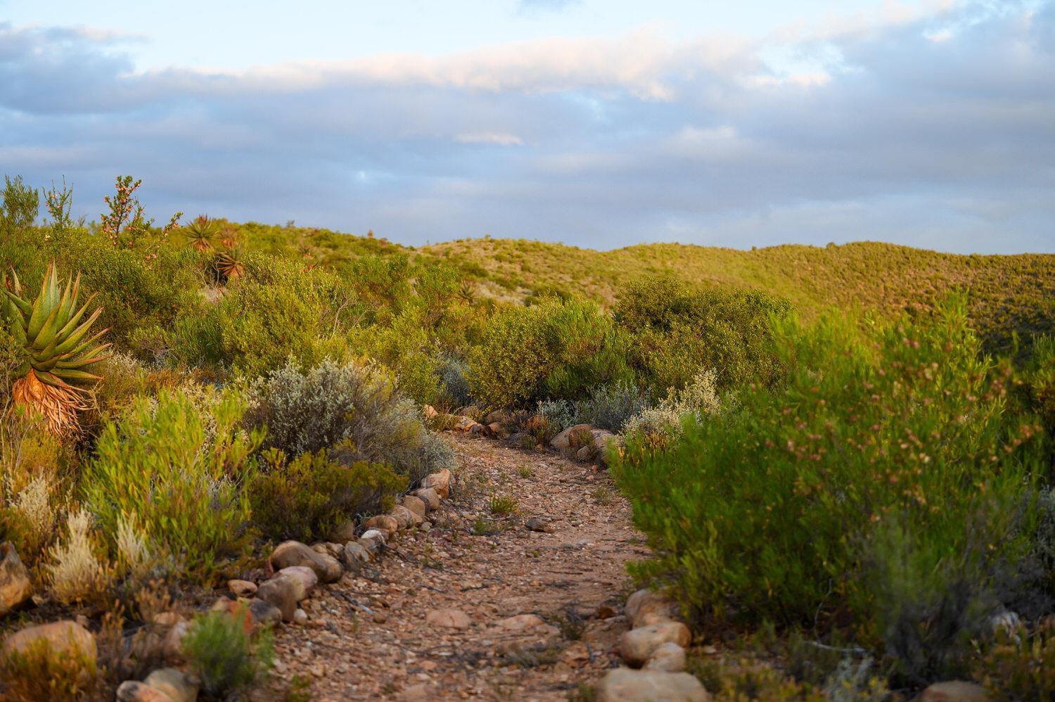 Le Petit Karoo Ranch Bed & Breakfast Оудсхорн Екстериор снимка
